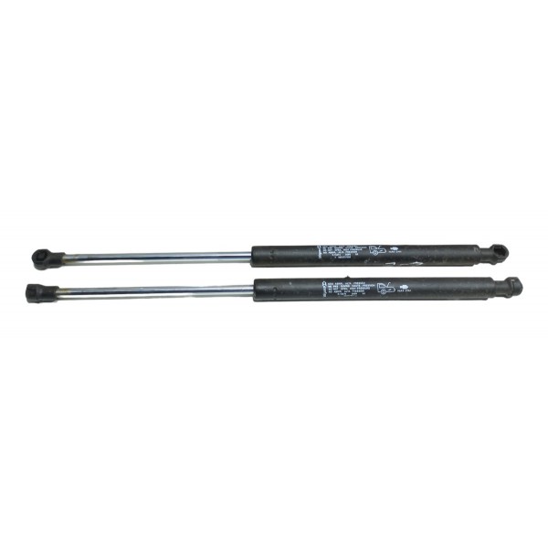 Par Amortecedor Tampa Traseira Peugeot 207 2007
