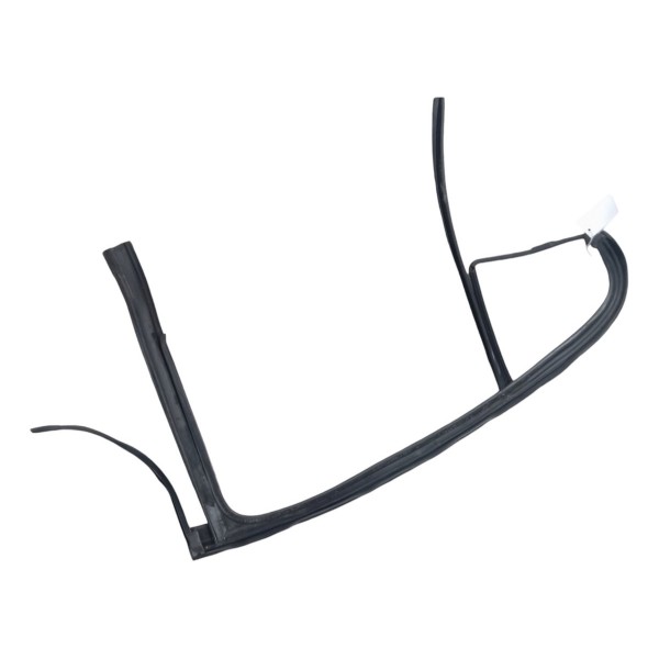Borracha Canaleta Vidro Porta Traseira Esquerda Fluence 2011