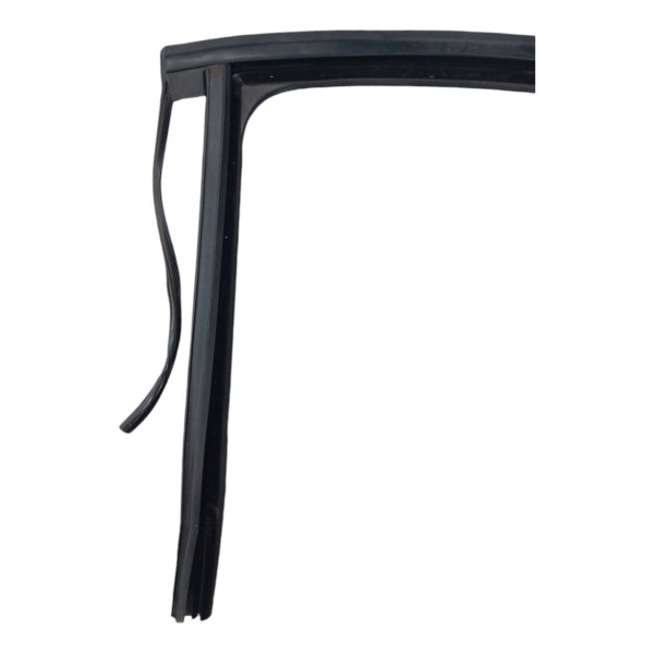 Borracha Canaleta Vidro Porta Traseira Esquerda Fluence 2011