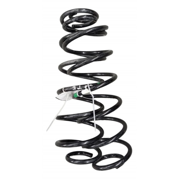 Par Molas Traseira Citroen C3 2003 2004 2005 2010 2011 2012