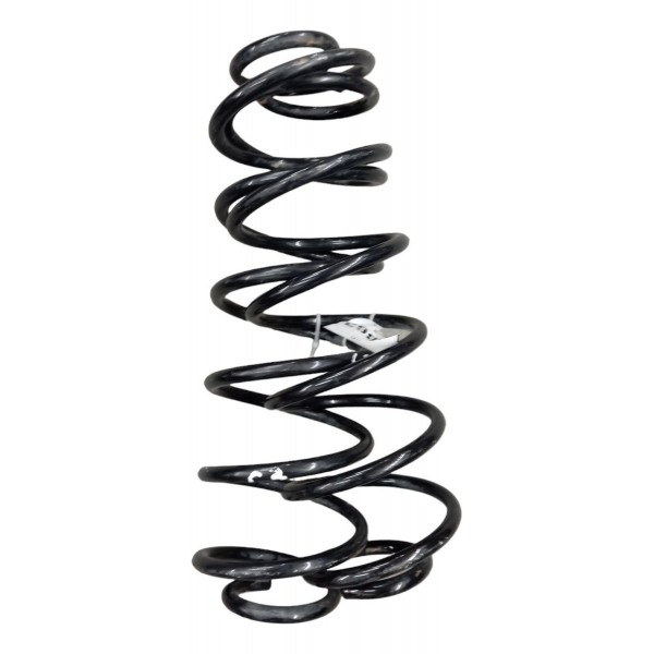 Par Molas Traseira Citroen C3 2003 2004 2005 2010 2011 2012