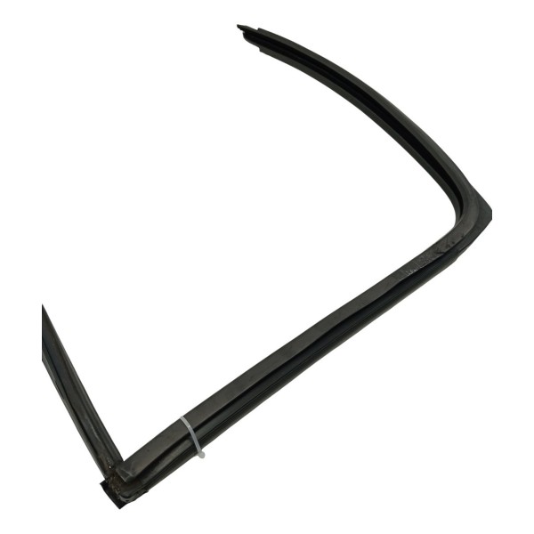 Borracha Canaleta Traseira Direita Renault Clio 1.0 2016 17