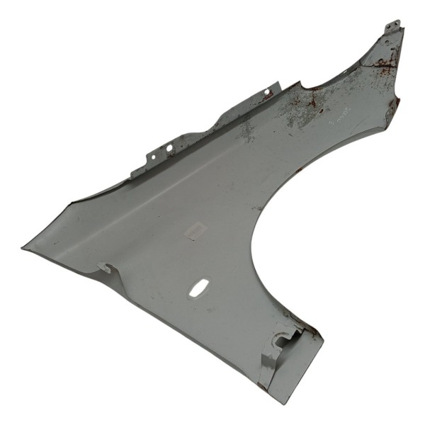 Paralama Esquerdo Peugeot 206 Sw 1.4 2004 2005 2006 2007