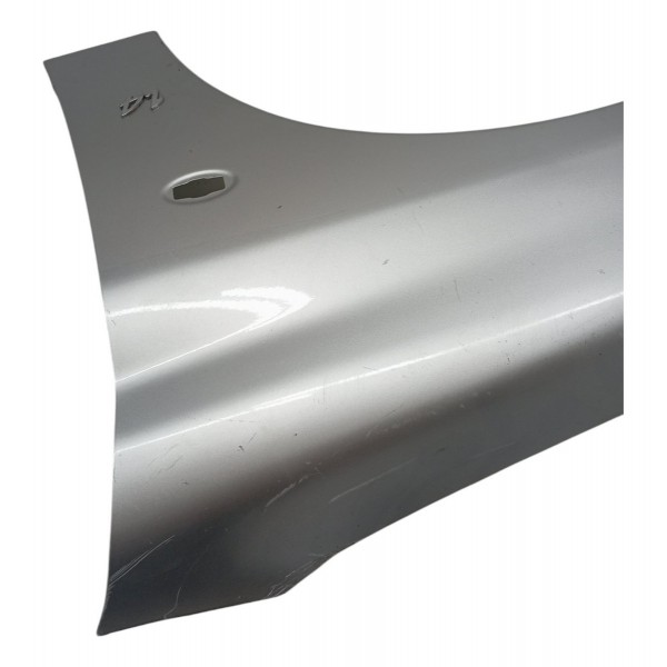 Paralama Esquerdo Peugeot 206 Sw 1.4 2004 2005 2006 2007