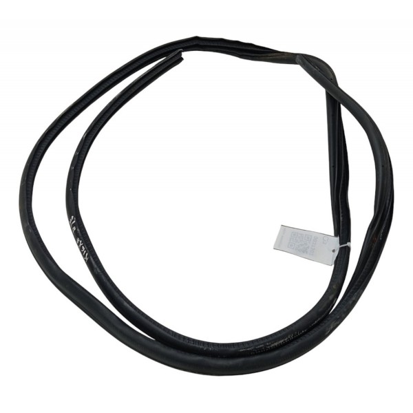 Borracha Porta Dianteira Esquerda Nissan Kicks 1.6 2020 2021