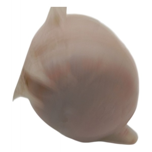 Reservatório Água Radiador C/ Tampa Renault Clio 2004 2005