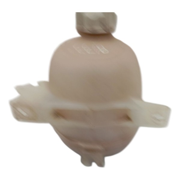 Reservatório Água Radiador C/ Tampa Renault Clio 2004 2005