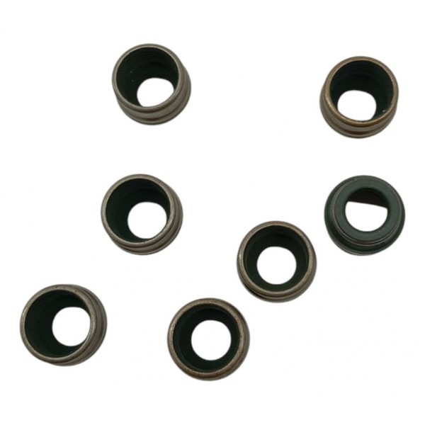 Kit Retentor Haste Válvula Iveco Eurotech Eurostar