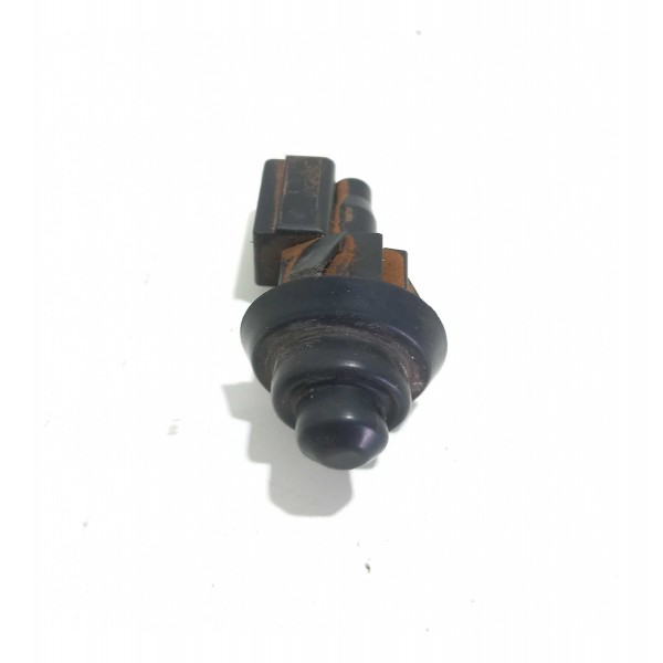 Interruptor Luz Porta Renault Clio