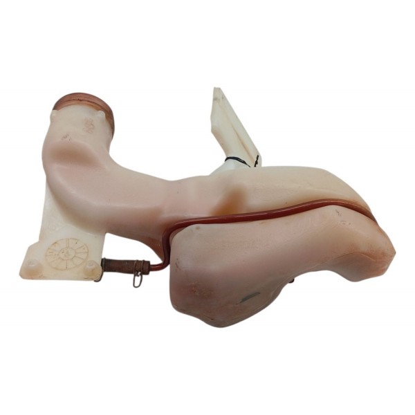 Reservatório Partida Fria Chevrolet Astra 2.0 2005