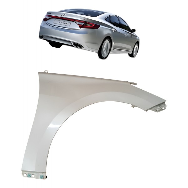 Paralama Direito Hyundai Azera 2013 Detalhe