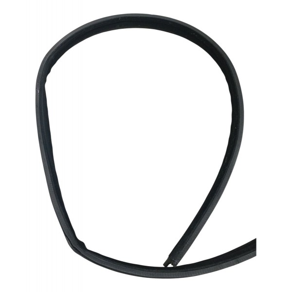 Borracha Teto Pingadeira Direita Renault Sandero 1.0 2017