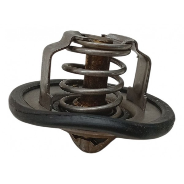 Valvula Termostatica Renault Duster Captur 1.6 16v 2018 2020 Valvula Termostatica Renault Duster Captur 1.6 16v 2018 2020