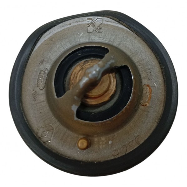 Valvula Termostatica Renault Duster Captur 1.6 16v 2018 2020 Valvula Termostatica Renault Duster Captur 1.6 16v 2018 2020