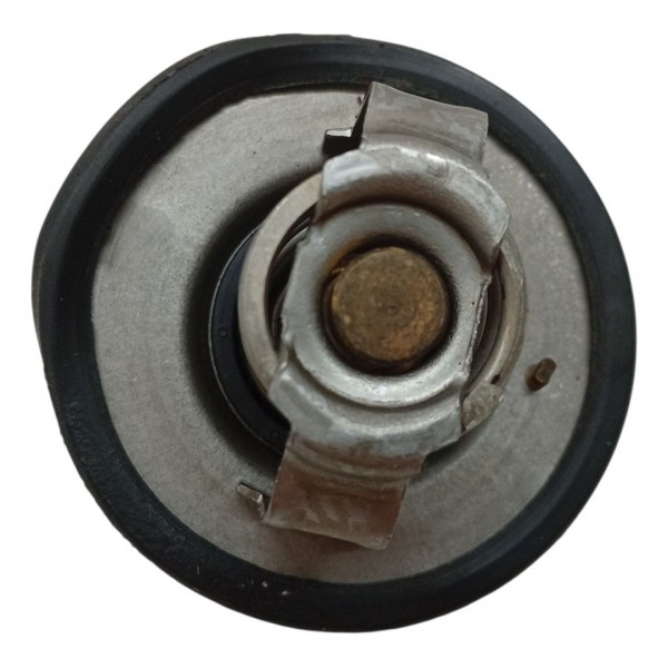 Valvula Termostatica Renault Duster Captur 1.6 16v 2018 2020 Valvula Termostatica Renault Duster Captur 1.6 16v 2018 2020