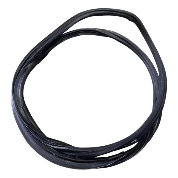 Borracha Porta Traseira Direita Volkswagen Virtus 2019