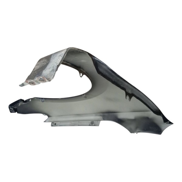 Paralama Dianteiro Esquerdo Mercedes Classe A 160 2005 2006 Paralama Dianteiro Esquerdo Mercedes Classe A 160 2005 2006