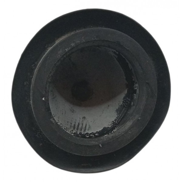 Par Tampa Amortecedor Traseiro Renault Clio 2002 Par Tampa Amortecedor Traseiro Renault Clio 2002