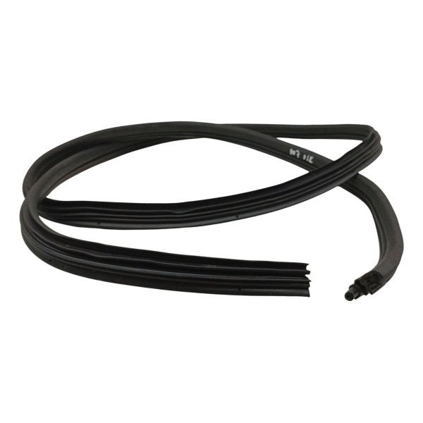 Borracha Porta Dianteira Esquerda Peugeot 307 1.6 2006 2007