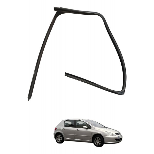 Borracha Guarnição Porta Traseira Esquerda Peugeot 307 2007
