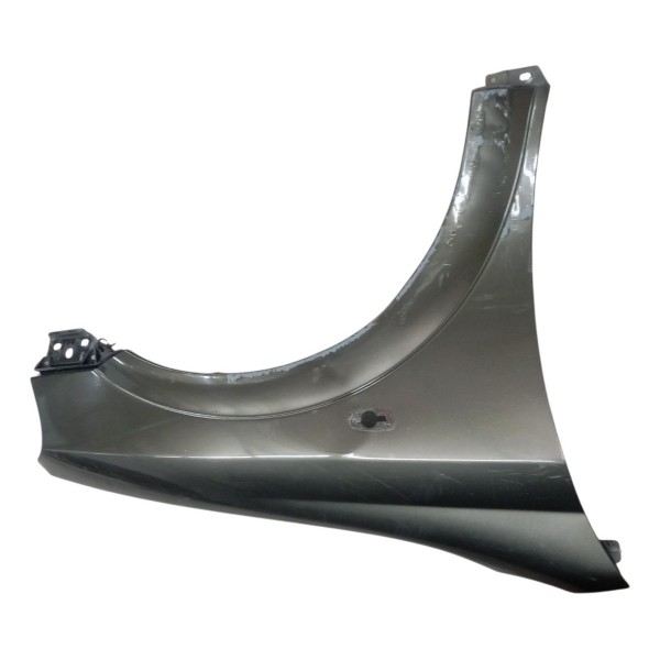 Paralama Dianteiro Direito Chevrolet Astra 2.0 2000 Ldetalhe Paralama Dianteiro Direito Chevrolet Astra 2.0 2000 Ldetalhe