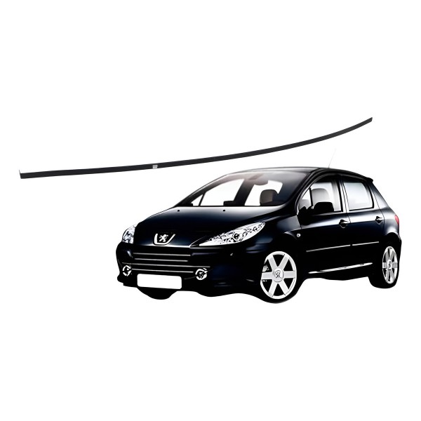 Friso Teto Esquerdo Preto Peugeot 307 1.6 2003 2004 2005 Friso Teto Esquerdo Preto Peugeot 307 1.6 2003 2004 2005
