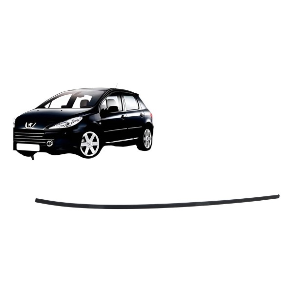 Friso Teto Direito Preto Peugeot 307 1.6 2004 2005 Detalhe Friso Teto Direito Preto Peugeot 307 1.6 2004 2005 Detalhe