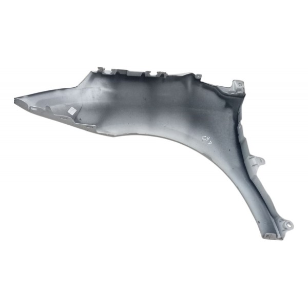 Paralama Dianteiro Direito Citroen C4 Pallas 2008 2009 2010 Paralama Dianteiro Direito Citroen C4 Pallas 2008 2009 2010