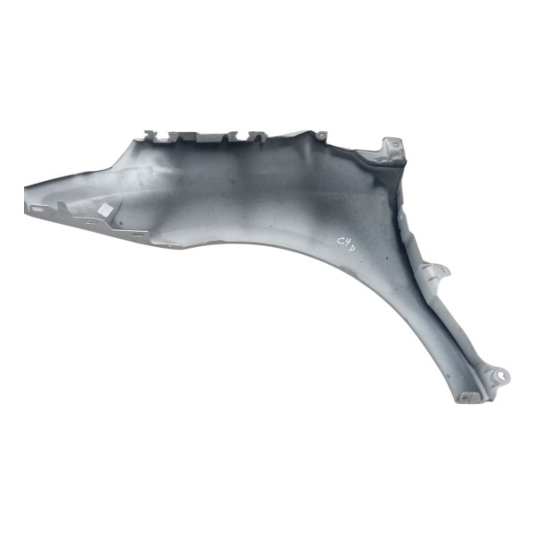 Paralama Dianteiro Direito Citroen C4 Pallas 2008 2009 2010 Paralama Dianteiro Direito Citroen C4 Pallas 2008 2009 2010