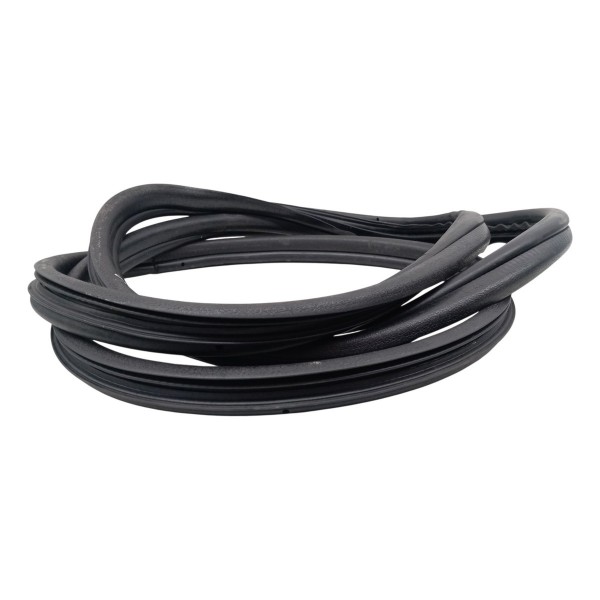 Borracha Porta Dianteira Esquerda Peugeot 307 2006 2007 2008