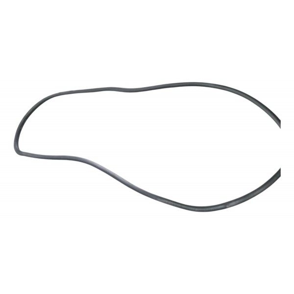 Borracha Porta Traseira Esquerda Peugeot 307 2006 2007 2008 Borracha Porta Traseira Esquerda Peugeot 307 2006 2007 2008