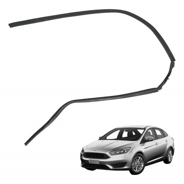 Borracha Vedação Esquerda Ford Focus Sedan 2.0 Glx 2001 2002