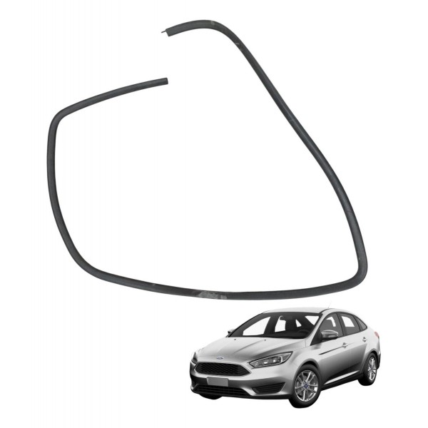 Borracha Vedação Porta Traseira Direita Ford Focus 2002