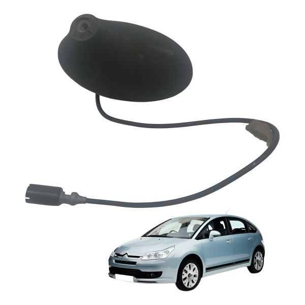 Base Suporte Antena Teto Citroen C4 Pallas 2.0 2008 2009 - Preto