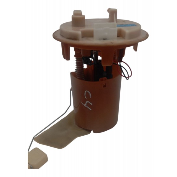 Bomba Combustivel Citroen C4 Pallas 2.0 2008 2009 2010 2011 Bomba Combustivel Citroen C4 Pallas 2.0 2008 2009 2010 2011