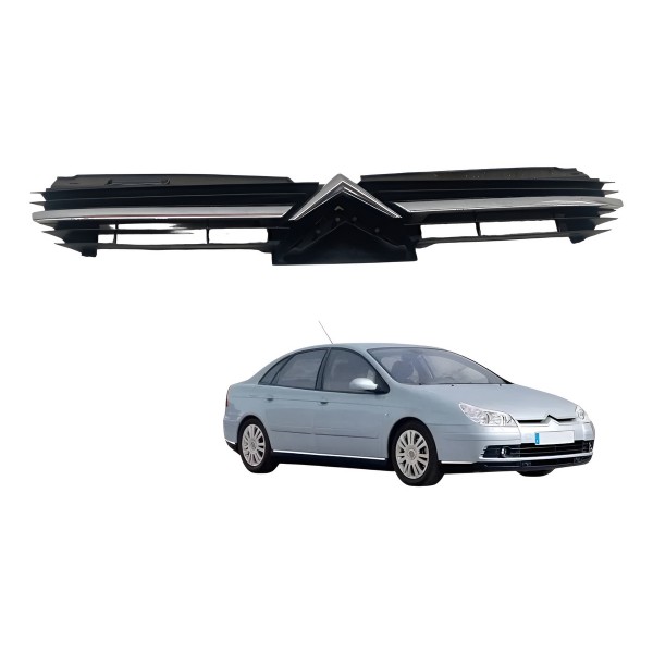 Grade Parachoque Dianteiro Citroen C5 2001 2002 2003 2004