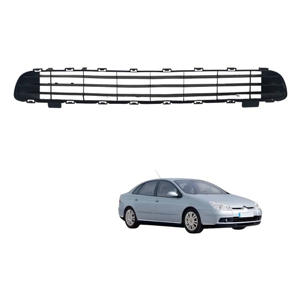 Grade Inferior Parachoque Dianteira Citroen C5 2003 Detalhe