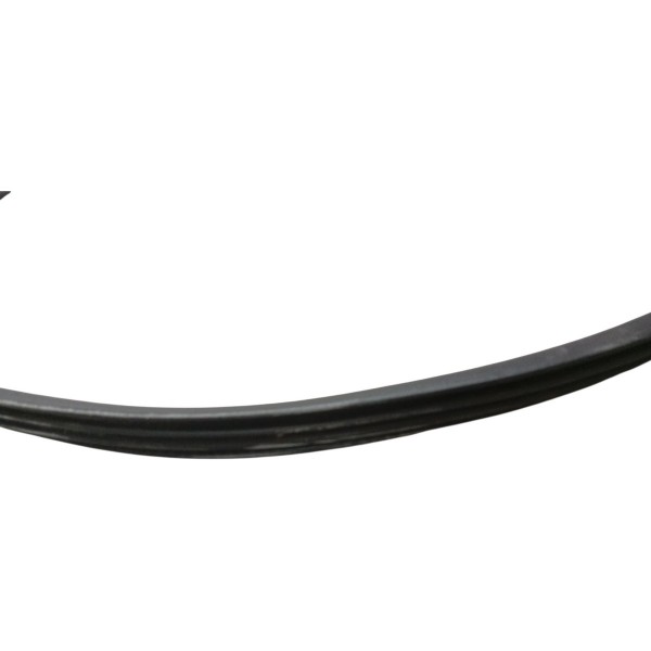 Borracha Porta Traseira Direita Citroen C4 Pallas 2008 2009