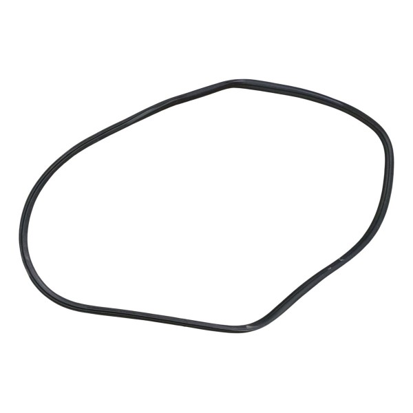 Borracha Porta Traseira Direita Citroen C4 Pallas 2008 2009