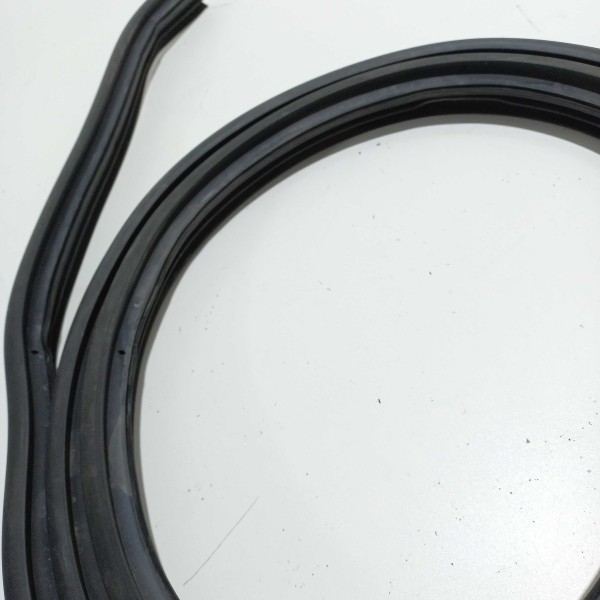 Borracha Porta Dianteira Esquerda Fiat Siena 2011