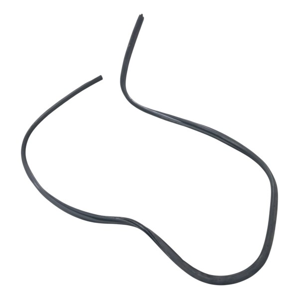 Borracha Porta Dianteira Direita Ford Fiesta 1.6 2012 2013