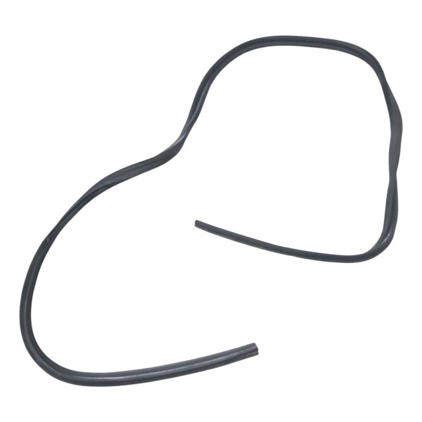 Borracha Porta Traseira Esquerda Ford Fiesta 1.6 2012 2013