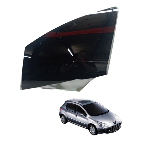 Vidro Porta Traseira Esquerda Peugeot 307 2.0 2008 2009 2010