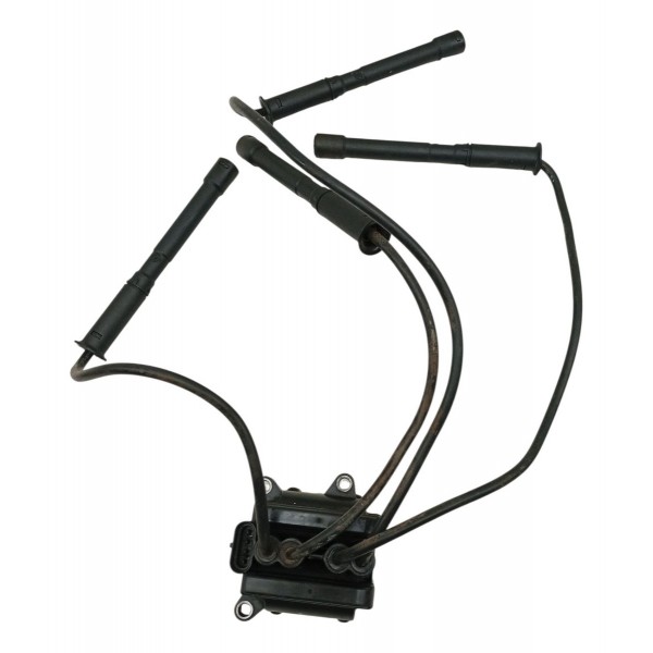 Bobina Ignição Cabos Renault Kangoo 1.0 2003 2004 D46120