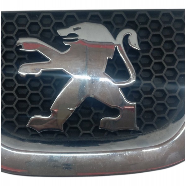 Emblema Parachoque Dianteiro Peugeot 307 2.0 2010 Detalhe