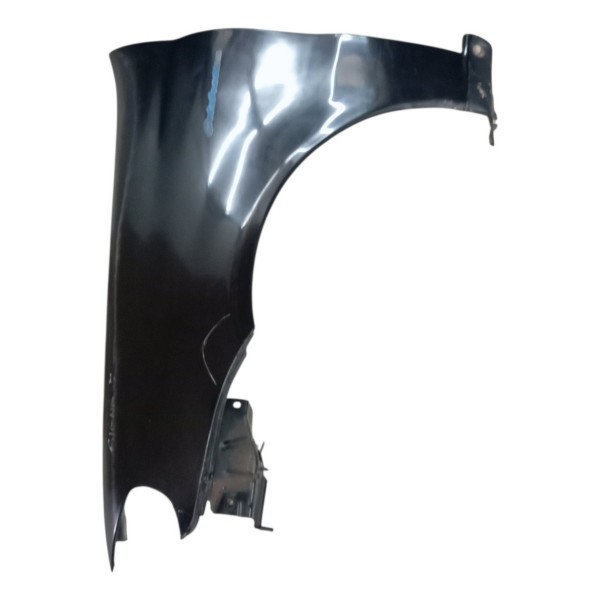 Paralama Dianteiro Esquerdo Fiat Siena 2008 2009 Detalhe