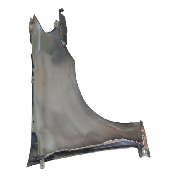 Paralama Dianteiro Esquerdo Fiat Siena 2008 2009 Detalhe