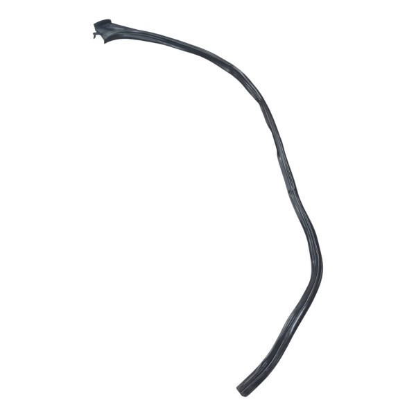 Borracha Friso Pingadeira Esquerda Fiat Siena 2009 Detalhe