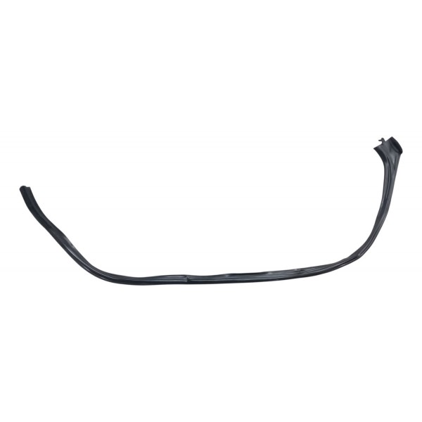 Borracha Friso Pingadeira Esquerda Fiat Siena 2009 Detalhe