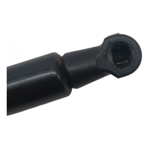 Amortecedor Capô Bmw X1 S Drive 2.0 Flex N20 2015